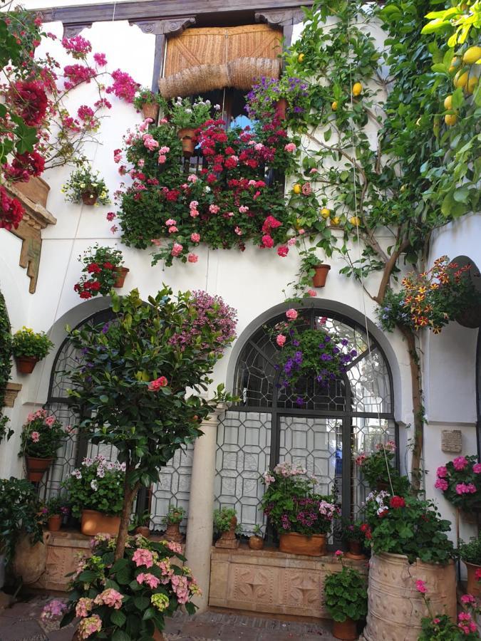 Apto. Planta Baja Y Cochera Barrio San Basilio กอร์โดบา ภายนอก รูปภาพ