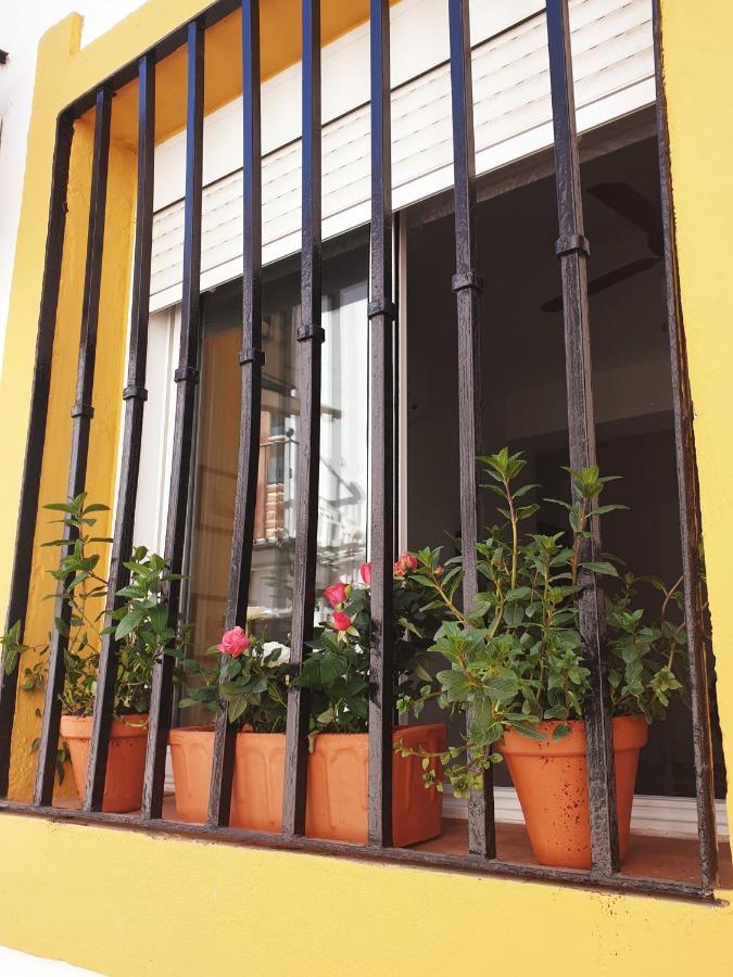 Apto. Planta Baja Y Cochera Barrio San Basilio กอร์โดบา ภายนอก รูปภาพ